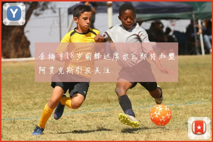 奈梅亨18岁前锋达席尔瓦即将加盟阿贾克斯引发关注