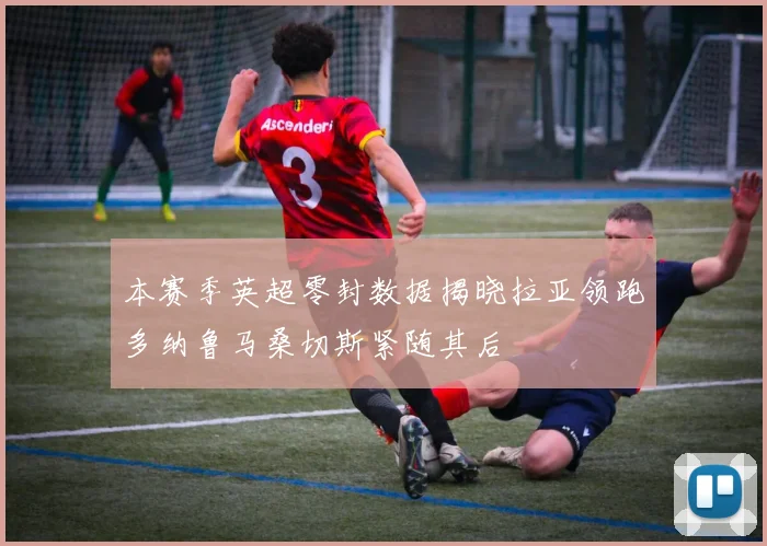 本赛季英超零封数据揭晓拉亚领跑多纳鲁马桑切斯紧随其后